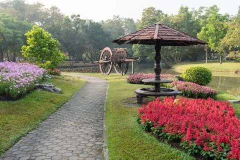 Flower garden background Stock Photos