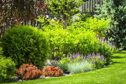 A flower garden in the backyard Stock Photos