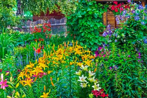 The flower garden at the cottage Stock Photos