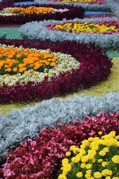Flower garden elements. Foto stock