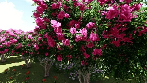 Flower Garden in the Field Stock Footage 337662440