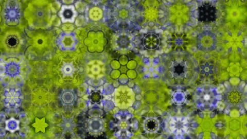 Flower Garden Stock Footage 151694471