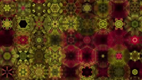 Flower Garden Stock Footage 152662171