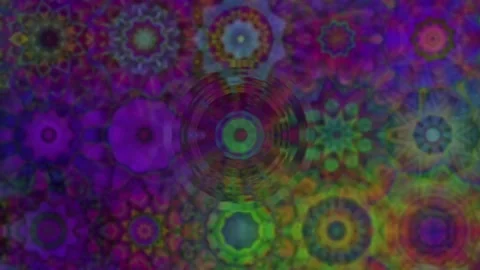 Flower Garden Stock Footage 152912331