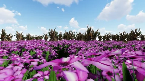 Flower Garden Stock Footage 337666970