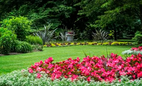 Flower garden Stock Illustration