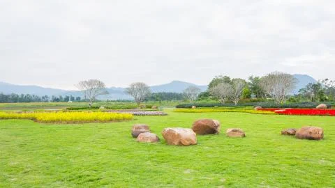 Flower garden Stock Photos