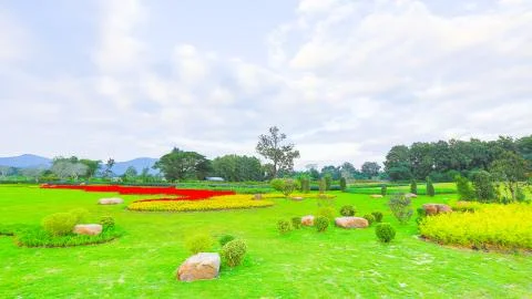 Flower garden Stock Photos