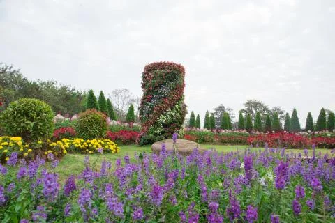 Flower garden Stock Photos