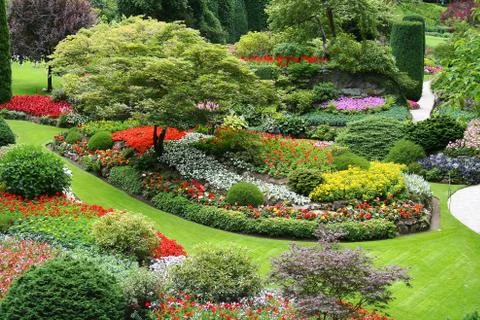 Flower garden Stock Photos