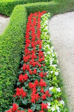 Flower garden Foto stock