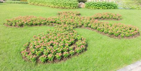 Flower garden Stock Photos