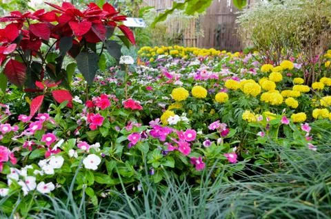 Flower garden Stock Photos