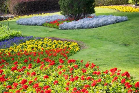 Flower garden Stock Photos