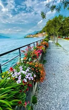 Flower garden Stock Photos