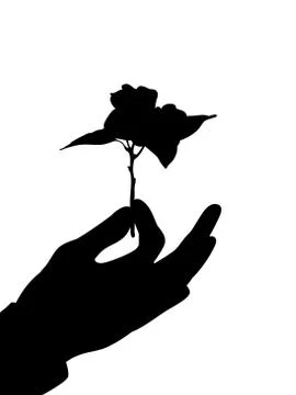 Flower-gift Stock Illustration