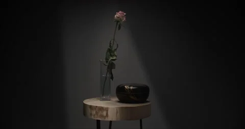 Flower in a glass time lapse Stock Footage 255658654