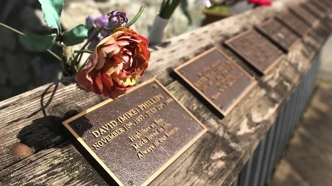Flower on the grave with name board 스톡 동영상 83179917