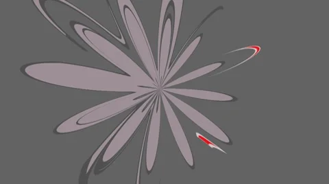 Flower on a gray background Stock Footage 8829915