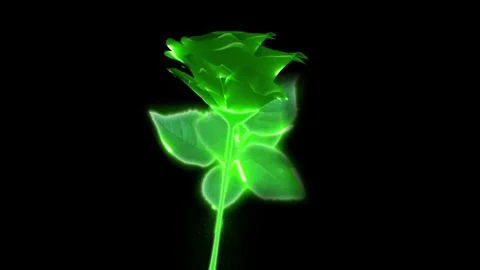 Flower green Stock Footage 262136411