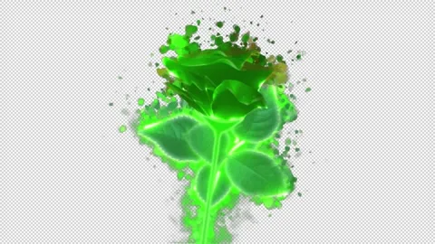 Flower green Stock Footage 262140195