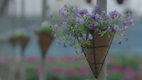 Flower Greenhouse 動画素材 288847508