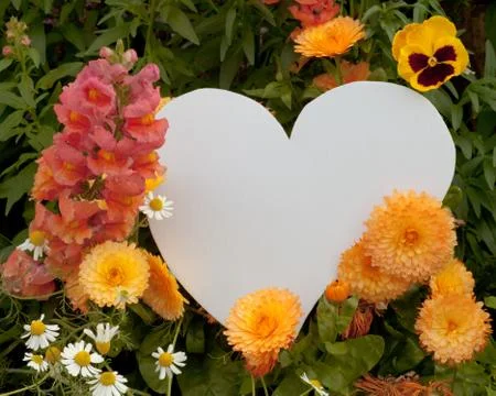 Flower greetings from heart Stock Illustration
