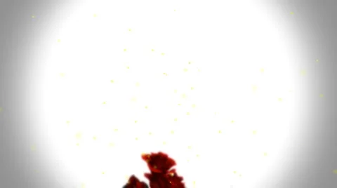 Flower grow 스톡 동영상 1081040