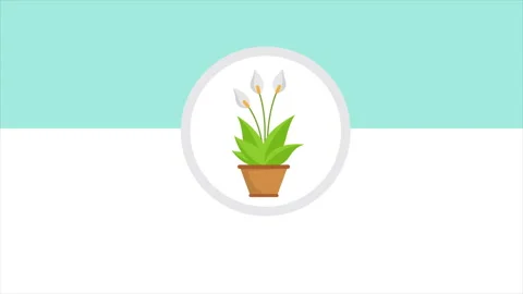 Flower Growing Animation Stock Footage 219557218