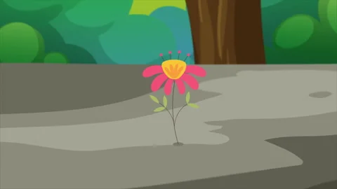 Flower Growing In The Forest Stock Footage 219557265