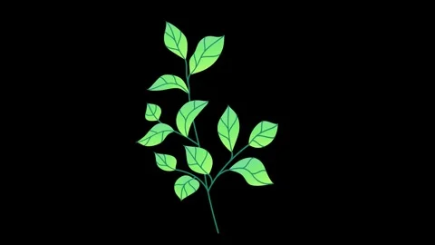 Flower growth animation concept Vidéo 299536452