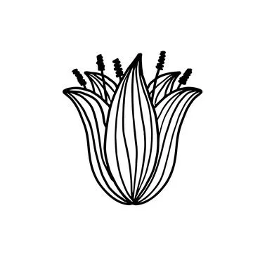 FLower in hand drawn doodle style. Floral sketch isolated on white background Stock Illustration