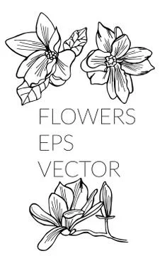 Flower hand drawn set Stock Illustration