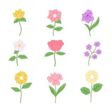 Flower hand drawn vector illustration Stock Illustration