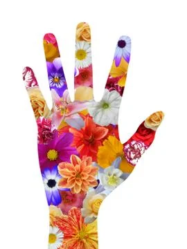 Flower hand Stock Illustration