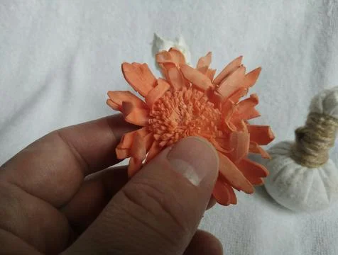 Flower in hand.Decor. Stock Photos
