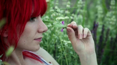 Flower HD Video stock 740058