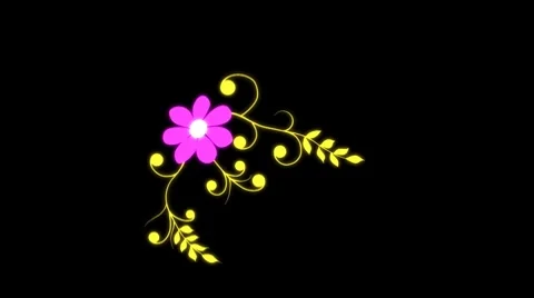 Flower HD1080 Stock Footage 8836367