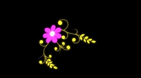 Flower  HD720 Stock Footage 8836353