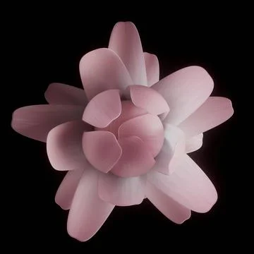 Flower head in blossom Ilustração Stock