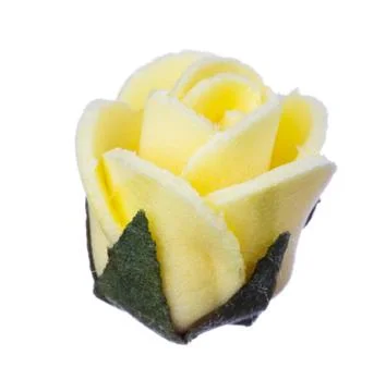 Flower head on a white background Stock Photos