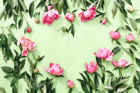 Flower heart concept Stock Photos