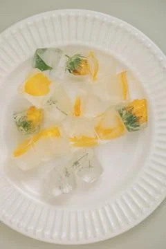 Flower ice cube Stock Photos