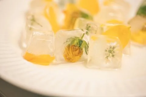 Flower ice cube Stock Photos