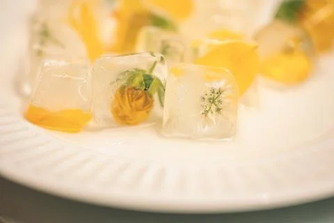 Flower ice cube Stock Photos