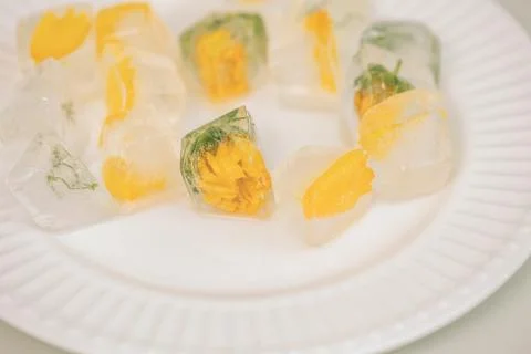 Flower ice cube Stock Photos