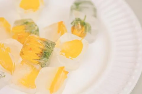 Flower ice cube Stock Photos