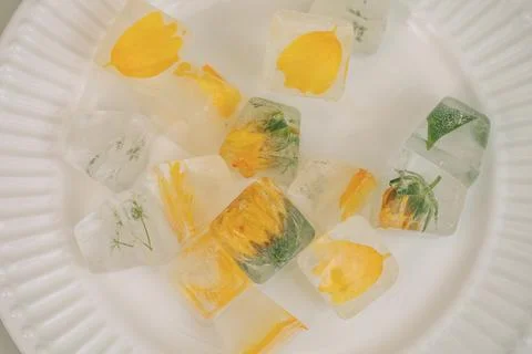 Flower ice cube Stock Photos