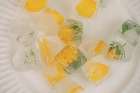 Flower ice cube Stock Photos
