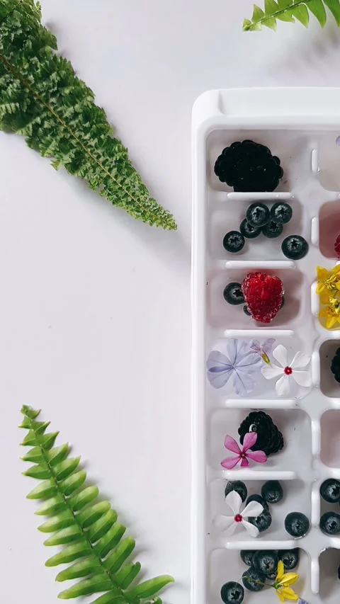Flower ice cubes, putting fruit, ice cube tray, freeze, table setting, Stock Footage 278421638
